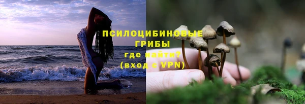 винт Наволоки